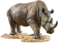 Design Toscano South African Rhino Outdoor Garden Statue, 34 Inch, Polyresin,