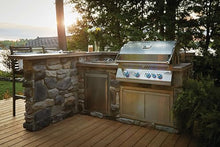 Napoleon Built-In 700 Series 32-inch Natural Gas Grill Head