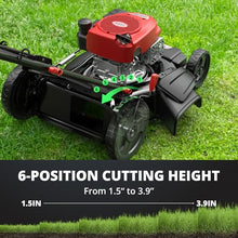 AMERISUN 21" Gas Lawn Mower,144cc Engine,2-in-1 Mulching & Side Discharge