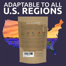Bulk Texas Bluebonnet Wildflower Seeds - 5 Pounds - Over 80,000 Native Seeds - Texas State Flower!