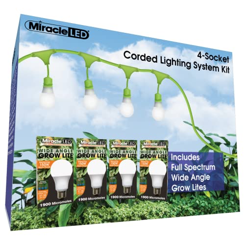 Miracle LED Socket 24ft Corded System Kit with 16 Almost Free Energy Full Spectrum Wide-Angle Grow Lights Replacing Two 1000W High Pressure Sodium/Halide Bulbs, (4-Pack - 4 Strings, 16 Bulbs)
