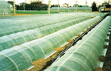 DIO-Betalon 117" x 328' DT-550 PVA Agricultural Floating Row Cover Natural