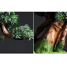YXIANG56Q Fake Plants Welcome to the Real New Living Room Hotel Home Jewelry Green Plant Pot Potted Soft Root Carving Biser Plant Decoration Ornaments Bonsai Tree(C)