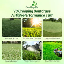 Outsidepride V8 Creeping Bentgrass Seed - 25 lbs. Fine-Bladed, Premium Quality Turf, Grass Seeds for Smooth Surface, & High-Traffic Areas, Ideal Grass for Golf Courses Putting Greens, & Fairways