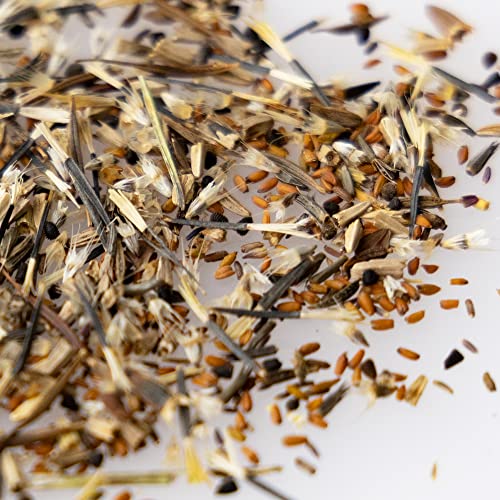Mountain Valley Seed Company Monarch Butterfly Wildflower Mix Purple 25 lb
