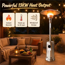 Stainless Steel Propane Patio Heater, 13000W Mushroom Heater