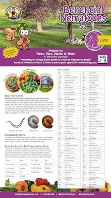 Beneficial Nematodes Steinernema carpocapsae SC - Biological Flea Control (500 Million)