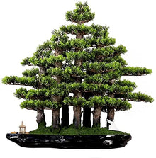 LSHAOBO Artificial Tree Bonsai Realistic Cypress Moss Small Pavilion Ceramic Villain Chinese Bonsai Indoor Office Decoration
