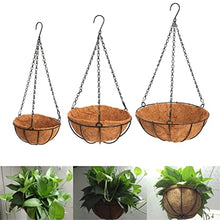 Hanging Coconut Vegetable Flower Pot Basket Liners Planter Garden Decor Iron Art Garden Flower & Planters Pots (Size : 25cm) ()