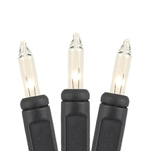 Novelty Lights 24-Pack, 34 Feet 100 Bulbs Traditional Incandescent Mini Lights, Clear on Black Wire with 4" Spacing, Commercial Grade and UL Listed for Indoor/Outdoor Use, End-to-End Connectable