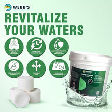 Pond Muck and Sludge Remover Treatment - Beneficial Bacteria Pond Cleaner and Sludge Removal Tablets for Fish Ponds and Lake Applications - 400 Tablet Container