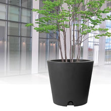 リッチェル Richell Town Planter WS Conical 75 Type SG Conical 75 Type, Simple, Prevents Rooting in Water Storage & Drainage