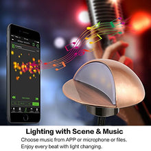 FVTLED LED Deck Lighting Kits, 30pcs WiFi Controller Φ1.97 Low Voltage LED Step Lights RGB Recessed Light Compatible with Alexa Google Home Smart Phone RGB Lamp, Bronze