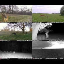Stealth Cam Revolver 36MP 360-Degree Cellular Trail Camera Bundle with Card Reader and 32GB Memory Card (4-Pack)