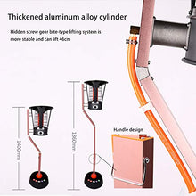 AIZYR Patio Gas Heater, 6kw Free Standing Heater Height Adjustable Stand 2 Heat Settings for Home/Outdoor/Courtyard/Garden,Liquefied Gas