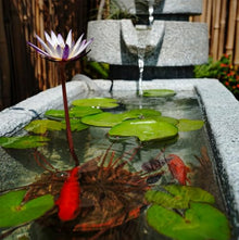 Stone Tiered Water Fountain with Basin and Natural Rock Accents – Outdoor Zen Water Feature for Garden or Patio(B 2)