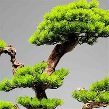 YXIANG56Q Fake Plants Artificial Bonsai Tree Indoor Fake Plants Decor with Ceramic Pots for Home Table Office Desk Bonsai Tree