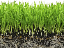 Soil Moist SAP Super Absorbent Polymer Water Retaining Crystal for Plants White 45 Pounds