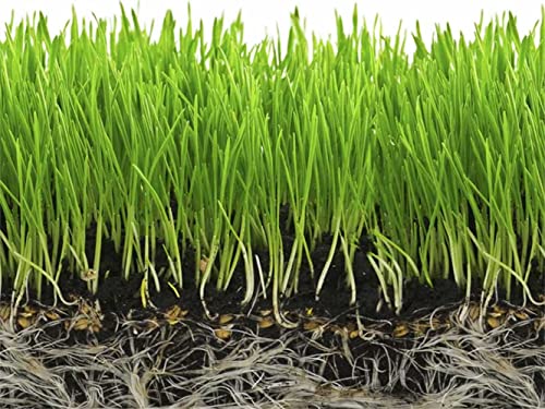 Soil Moist SAP Super Absorbent Polymer Water Retention Polymer for Grass and Gardens 45 Lb.