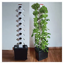 GeRRiT Hydroponics Growing System Indoors Smart Hydroponics System with Light Vertical Hydroponic Tower Gardening Equipment Planters,Hydroponic Growing Kits & Systems