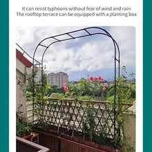 Heavy Duty Garden Arch for Climbing Plants Sturdy Outdoor Support for Roses Vegetables 2.3m Tall Arch Decoration with Base for Outdoor Garden Décor(2.4 * 2.4m)