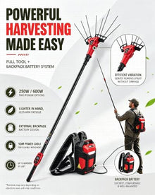 BEESOM Electric Olive Harvester 600W 6500 RPM 6-Speed Telescopic Pole Cordless 600w