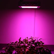 600w 1000w 1200w Newest led Plant Grow Light Waterproof led Grow Lights for Medical Plants with Independent Switch for Growing and Flowering Period (600w, 4pcs)