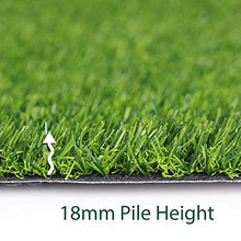 Petgrow 18mm Green Artificial Grass Turf Mat 14x82ft