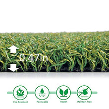 Petgrow Pro Putting Green Artificial Grass Turf 10FTX32FT Custom Width-10FT