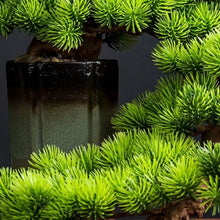 YXIANG56Q Fake Plants Indoor Fake Tree Potted Plant Ornaments Desktop Jewelry Entrance Decoration Simulation Tree Decoration High-Grade Artificial Bonsai Bonsai Tree