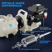 iLiving ILG8PP220-VS Variable Speed In-Ground and Above-Ground Swimming Pool Pump, 2.2HP