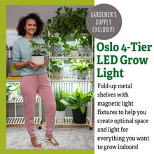 Gardener's Supply Company Oslo 4-Tier Grow Light Plant Stand | Elegant Metal Shelf with 4 LED Fixtures Included, Foldable Shelves & Wheels for Indoor Houseplants Flowers & Succulents