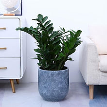 iumLeap Outdoor Indoor Garden Plant Pots Plant Vase Gray Ceramic Coffee Table Tabletop Decorative Flower Pot Flower Pot 9.8/10.6/11.8 Inches Plant Container Accessories