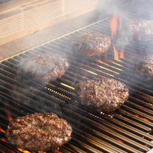 Blaze Premium LTE+ 40-Inch 5-Burner Natural Gas Grill W/Rear Infrared Burner & Lift-Assist Hood - BLZ-5LTE3-NG