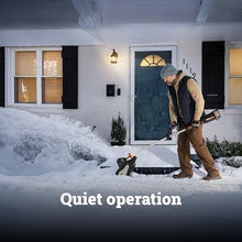 WORX Cordless Snow Shovel, 40V 12" Snow Blower, WG460