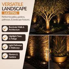 Top Notch Co In-Ground Well Light Fixture (4, Oil Rubbed Bronze)