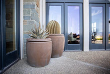 Desert Steel Fishhook Barrel Cactus - Indoor/Outdoor Metal Yard Art & Yard Decor, All Weather, Large (23" H x 20" W)