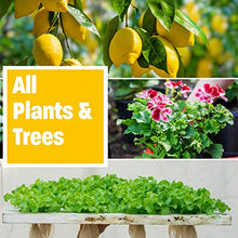 Humboldts Secret Golden Tree All-in-One Organic Plant Food 5 Gallon