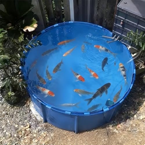 LZMZMQ Round Frame Pool Above Ground, 180 240 280 300 450 530 Gallon Assembly Summer Pools, Outdoor Fish Pool for Hydroponic Plants Koi Goldfish(1x0.6 M/470L/124GAL)