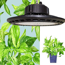 Plant Light High Power Lighting Growing Lamps Highlight Waterproof IP66 100W Grow Lights Suitable for Hydroponic Greenhouse Garden