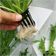 WRTYHGVGT Hydroponic Grow Kit Hydroponic Grow Kit, Hydroponics Growing System Smart Hydroponics Vertical Garden Grow Kit Pineapple Tower Indoor Outdoor for Planting Herb Vegetables Fruits