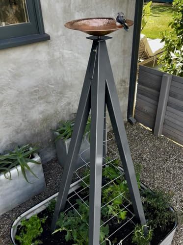 Modern Birdbath with Obelisk Trellis (Charcoal, Large)