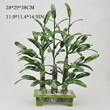 Dntum Artificial Bonsai Tree Natural Jade Bonsai Wealthy Bamboo and Jade Ornaments Bonsai for Home Office Shop Zen Decoration Decor Simulation Bonsai Trees