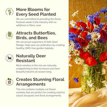Eden Brothers Northeast Wildflower Mixed Seeds for Planting, 25 lb