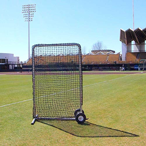 Cimarron Sports Outdoor Practice 4x6#84 Premier Safety Net and Frame with Wheels Black Stainless Steel