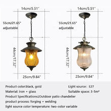 SteFik Outdoor Pendant Light Fixture, 1-Light Exterior Hanging Lantern Outside Chandelier Porch Lighting in Bronze Finish with Clear Ribbed Glass for Patio, Entryway Interesting Life,Pendant
