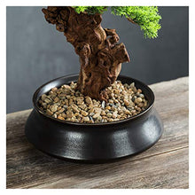 Simulation Welcome Guest Bonsai Ornaments Living Room Hallway Home Soft Ornament Christmas Study Green Plant Resin Gift House Plant (Color : B)