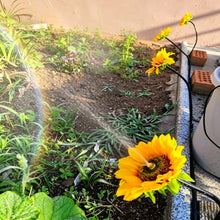 Sunflower Shape Misting Sprinkler Head with Hose, Drip Irrigation System