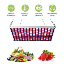 SmokePhonics Hydroponic LED Multi-Spectrum Grow Panel (6-Pack)