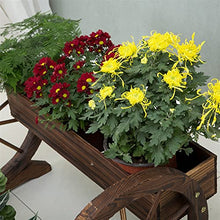 OJKJGYTF Plant standPlant Stand Flower Pot Rack Shelf Flower Pot Stand Double Layer Floating Flower Pot Wooden Decorative Frame Plant Flower Shelf Courtyard Garden Balcony Outdoor